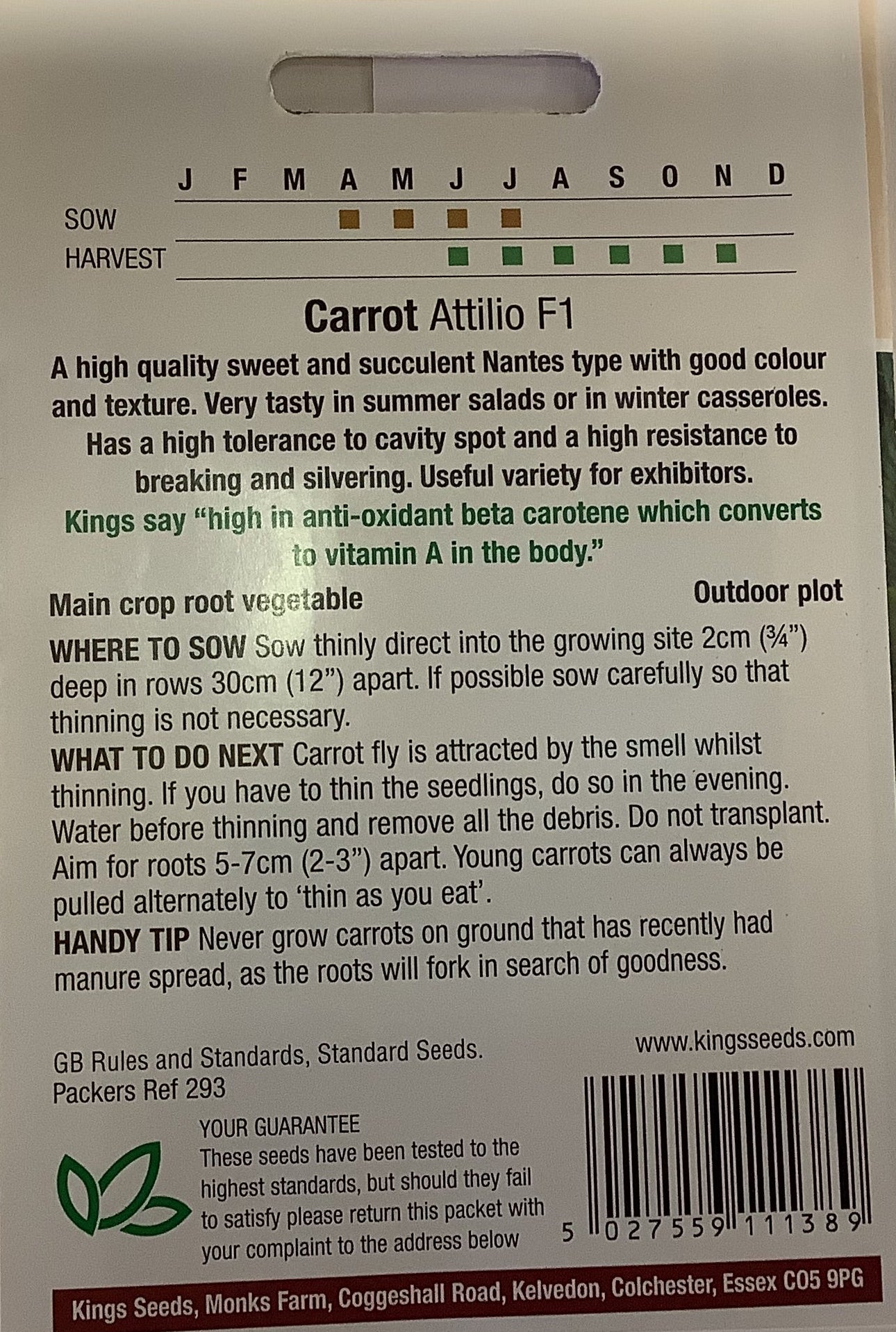 Kings Seeds Carrot Attilio F1