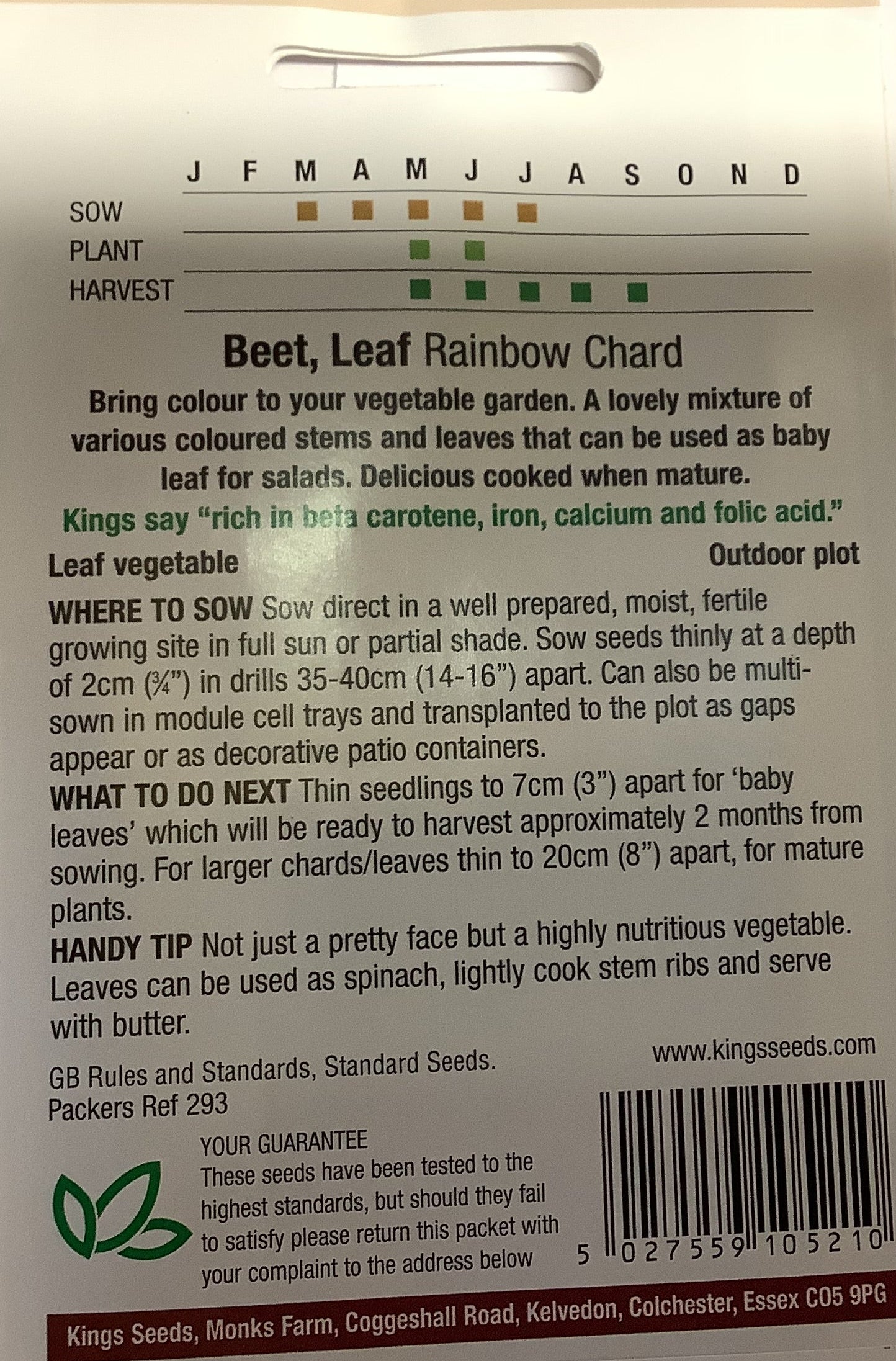 Kings Seeds Beet Leaf Rainbow Chard
