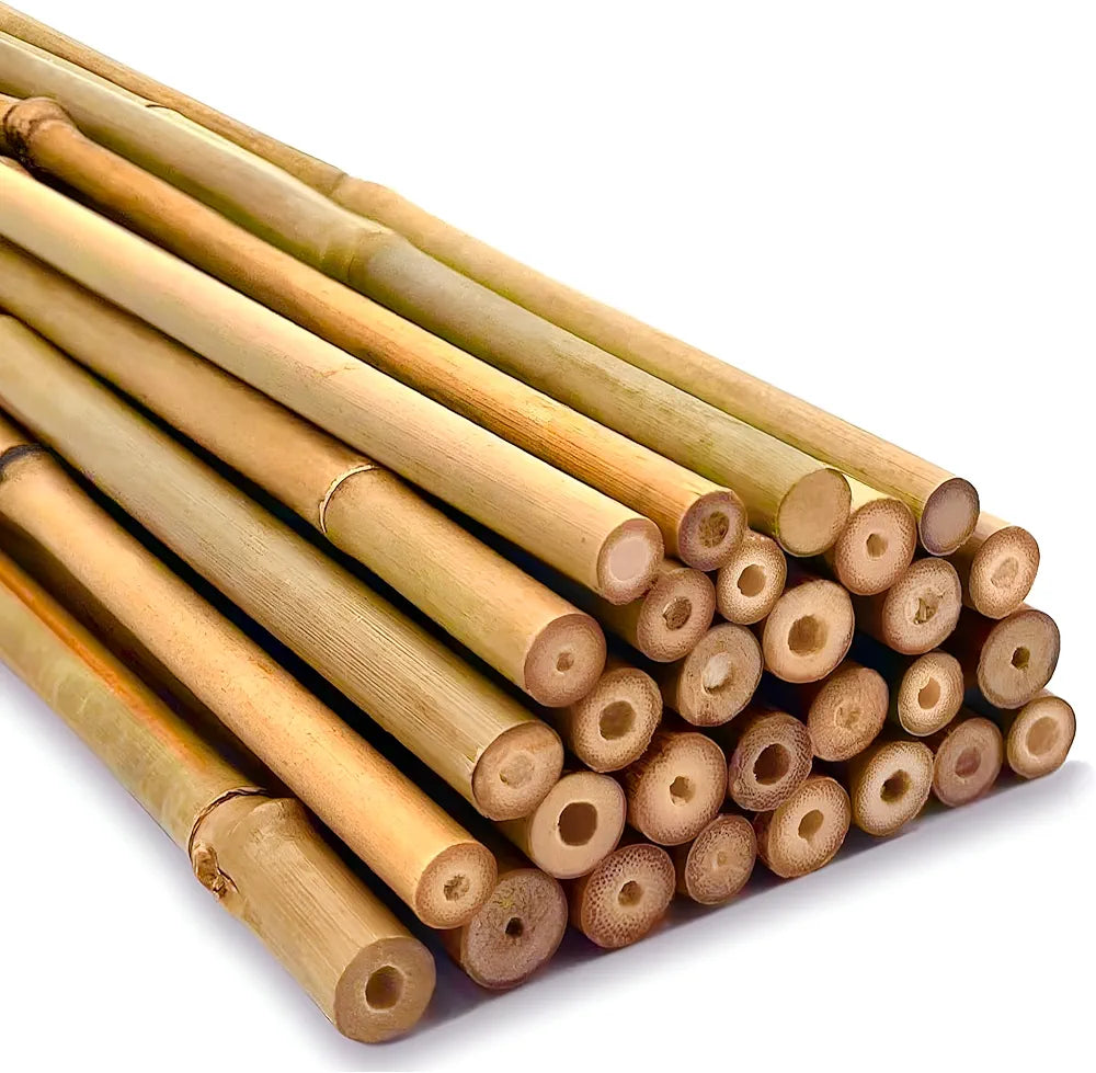 Gardening Bamboo Canes 1 x 5ft