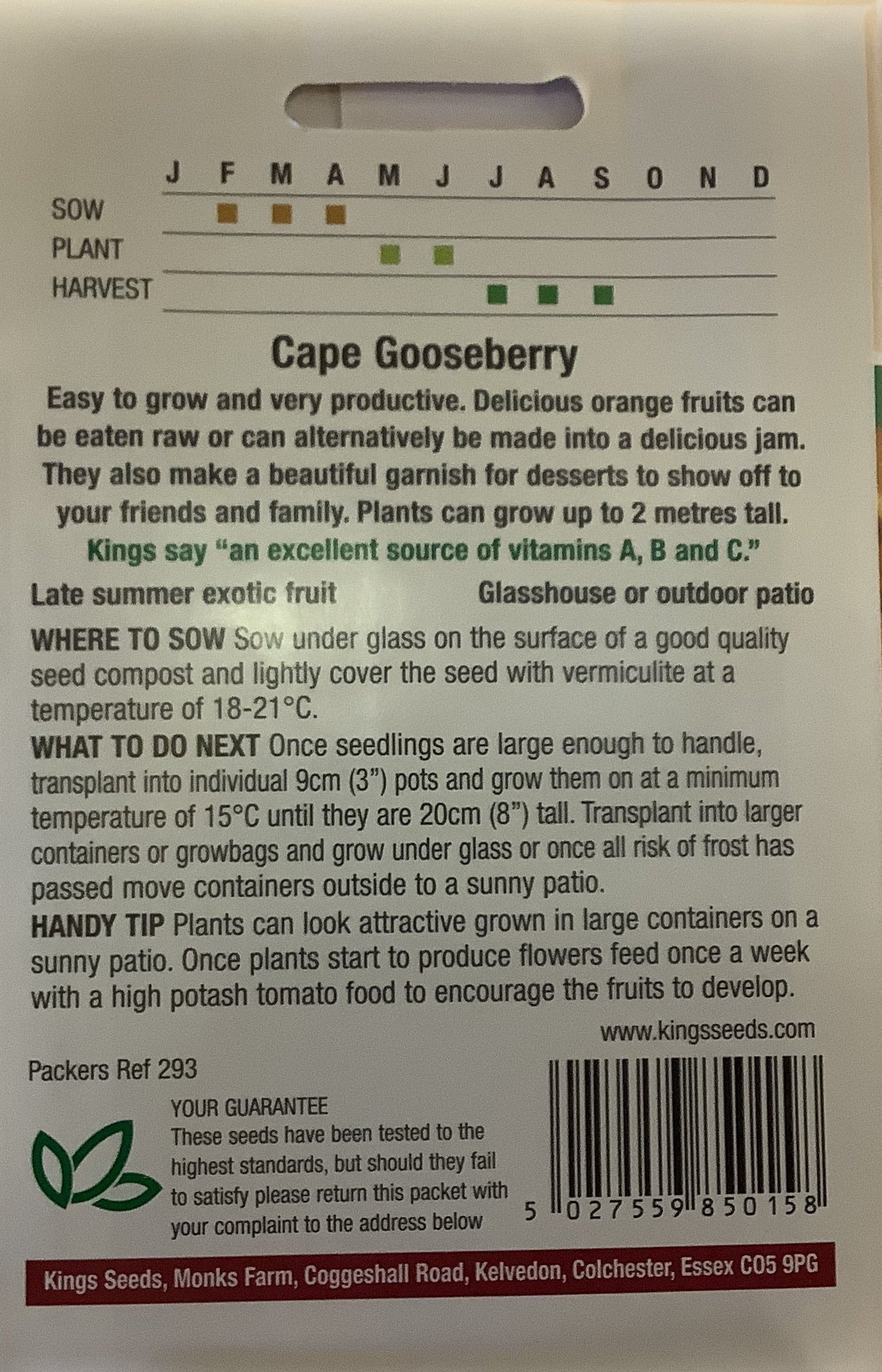 Kings Seeds Cape Gooseberry