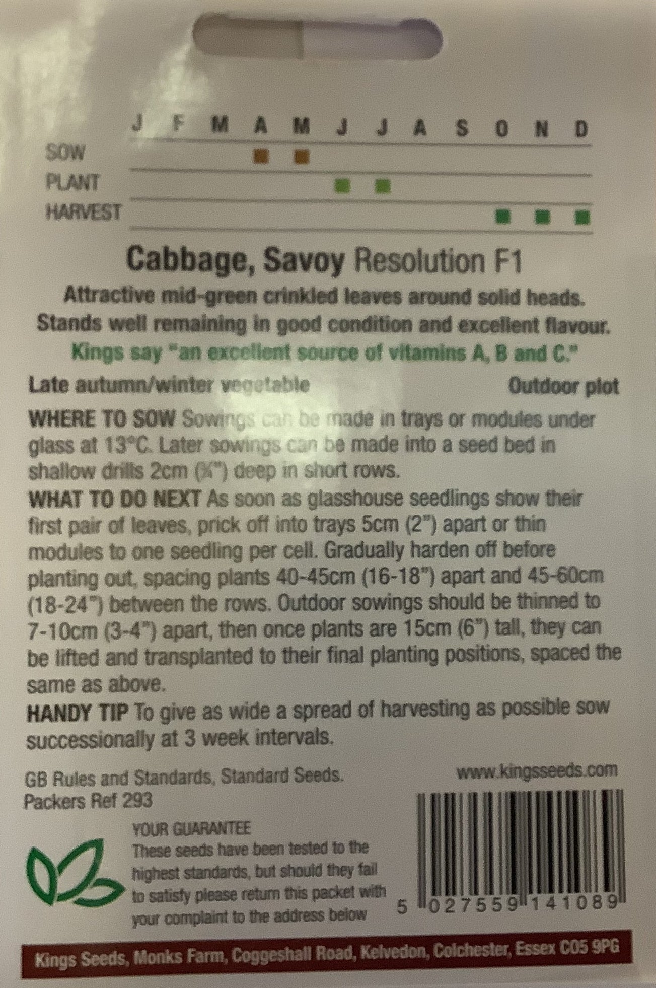 Kings Seeds Cabbage Resolution F1