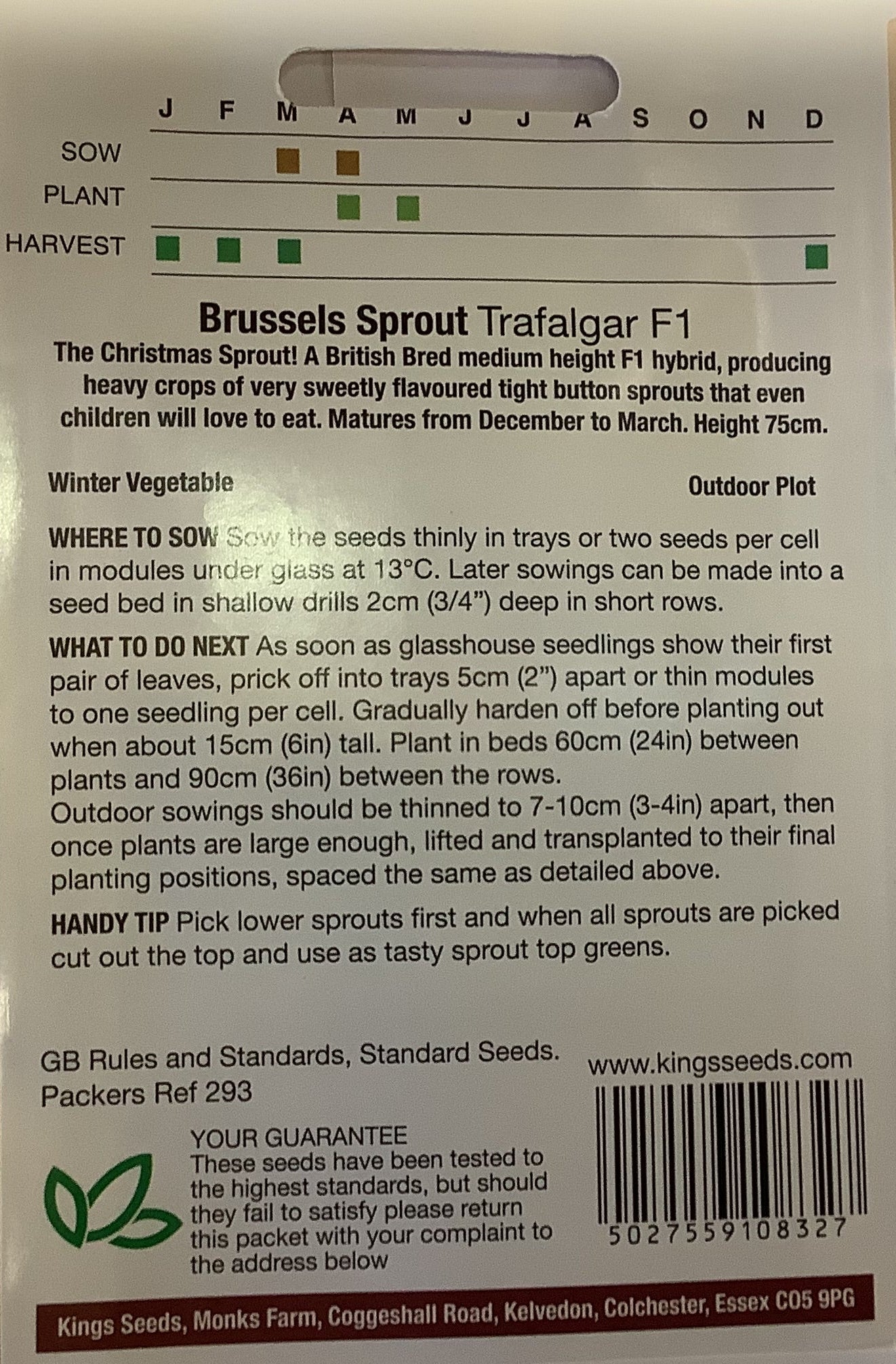 Kings Seeds Brussels Sprout Trafalgar F1