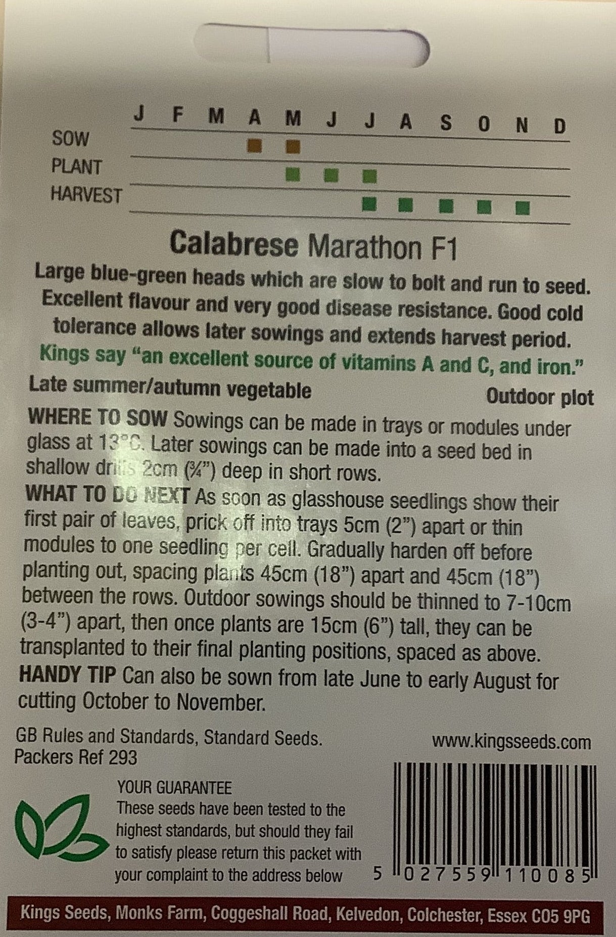 Kings Seeds Calabrese Marathon F1