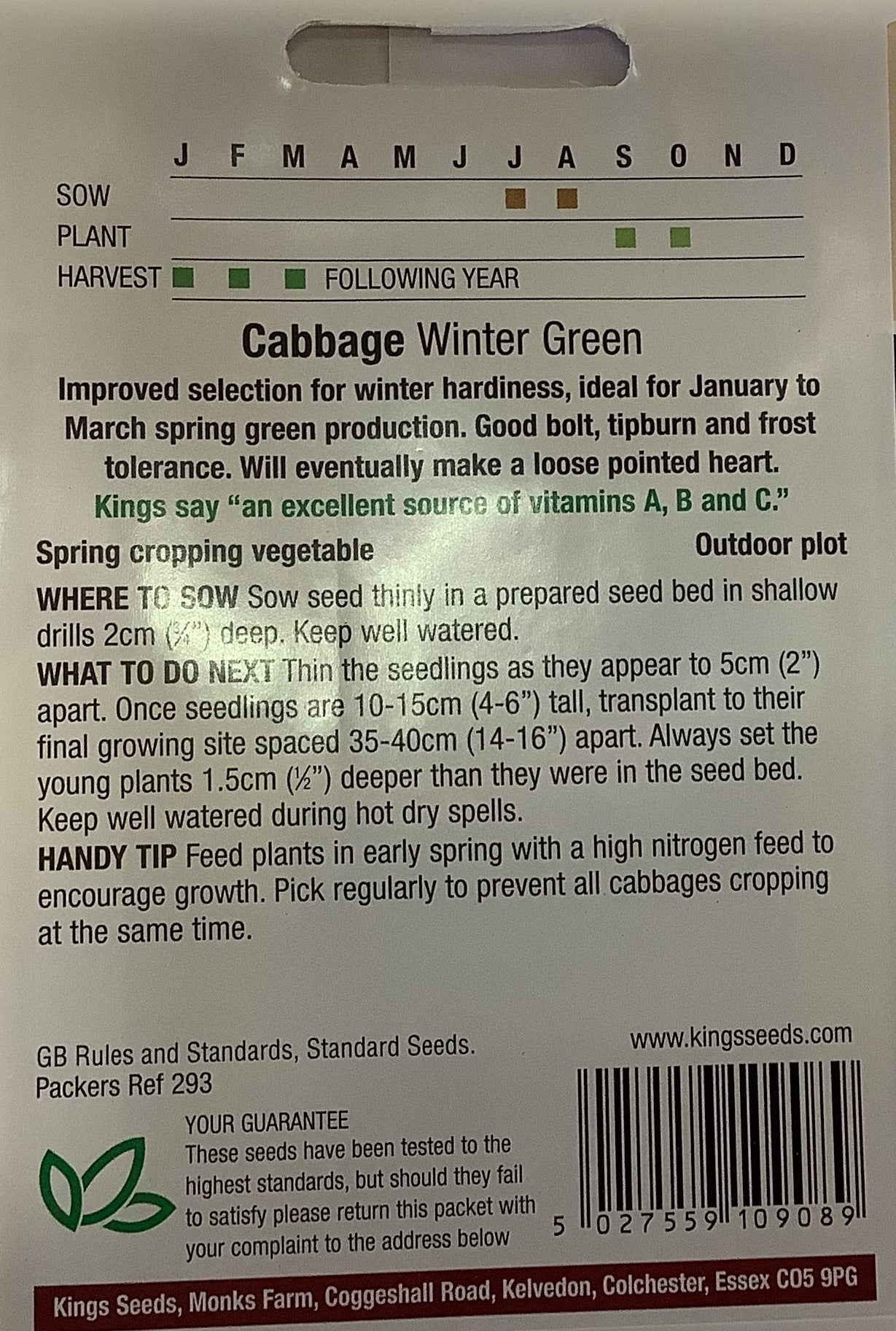 Kings Seeds Cabbage (Spring Greens) Winter Green