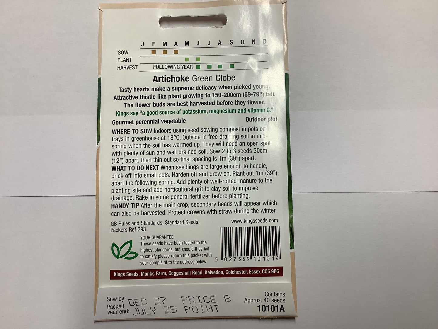 Kings Seeds Artichoke Green Globe
