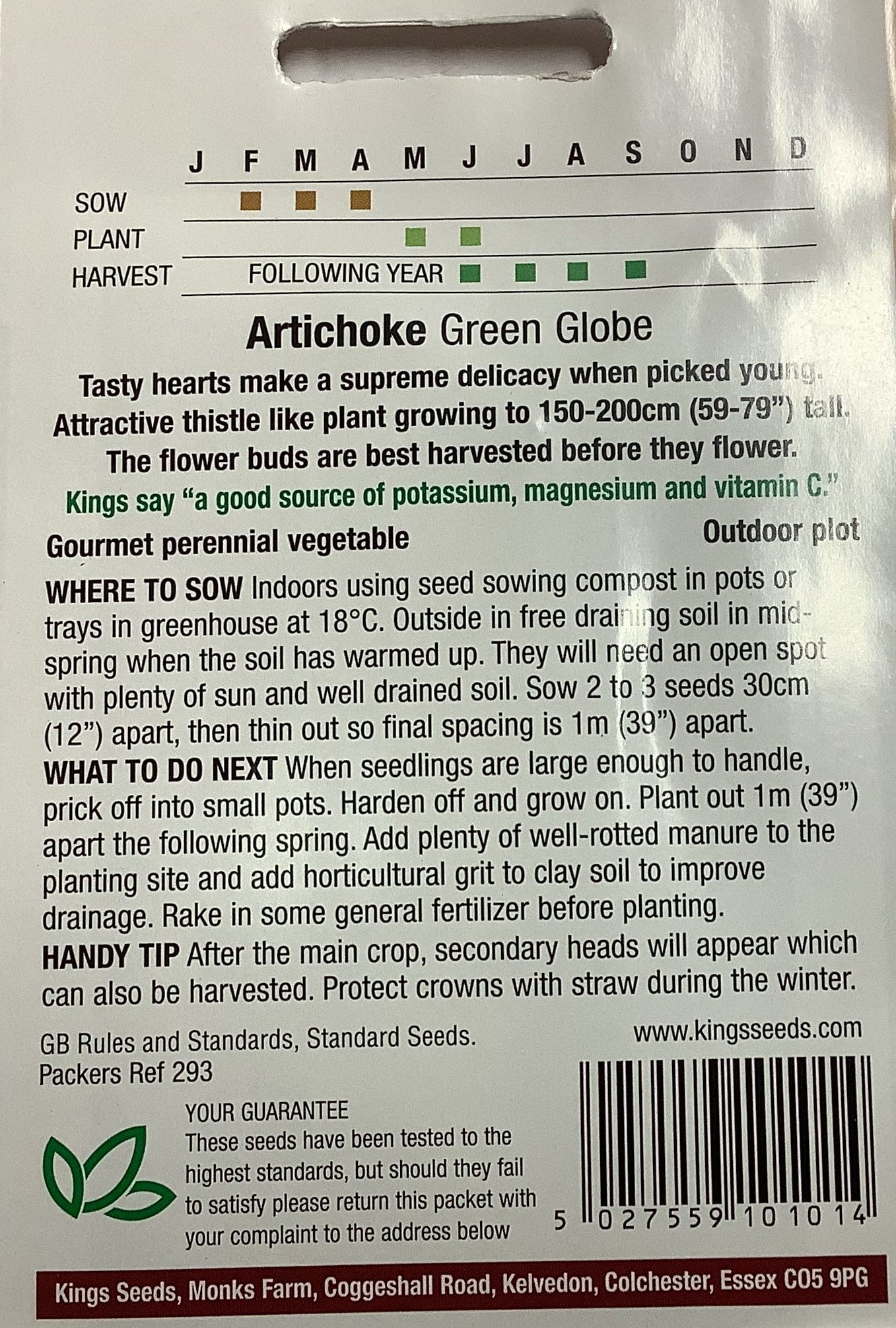 Kings Seeds Artichoke Green Globe