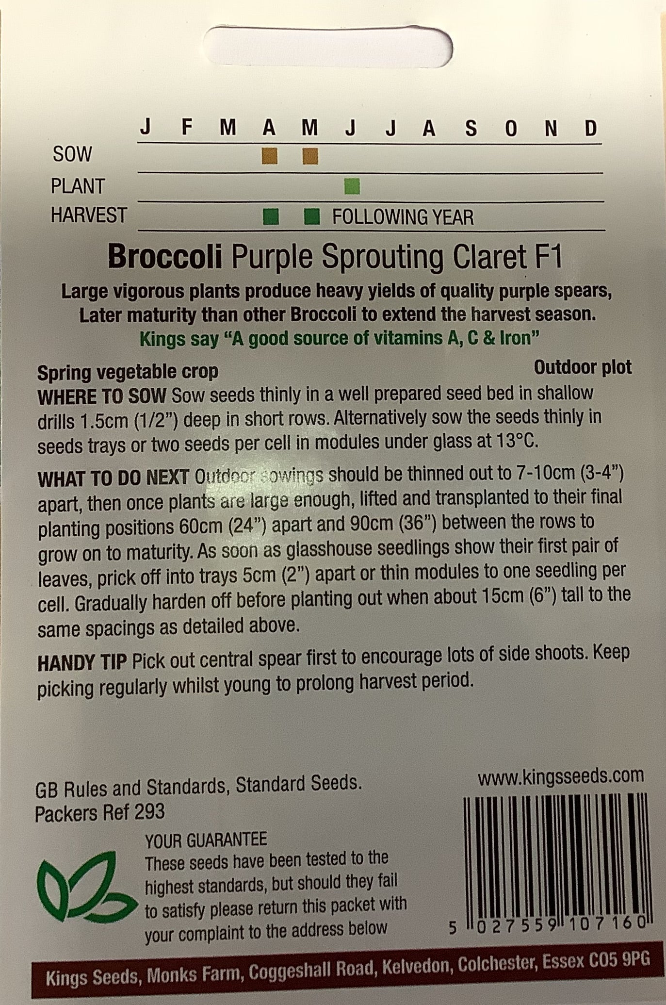 Kings Seeds Broccoli Purple Sprouting Claret F1