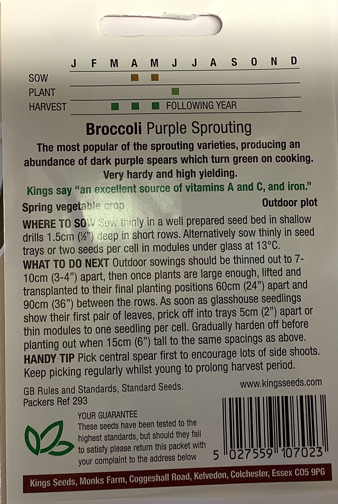 Kings Seeds Broccoli Purple Sprouting