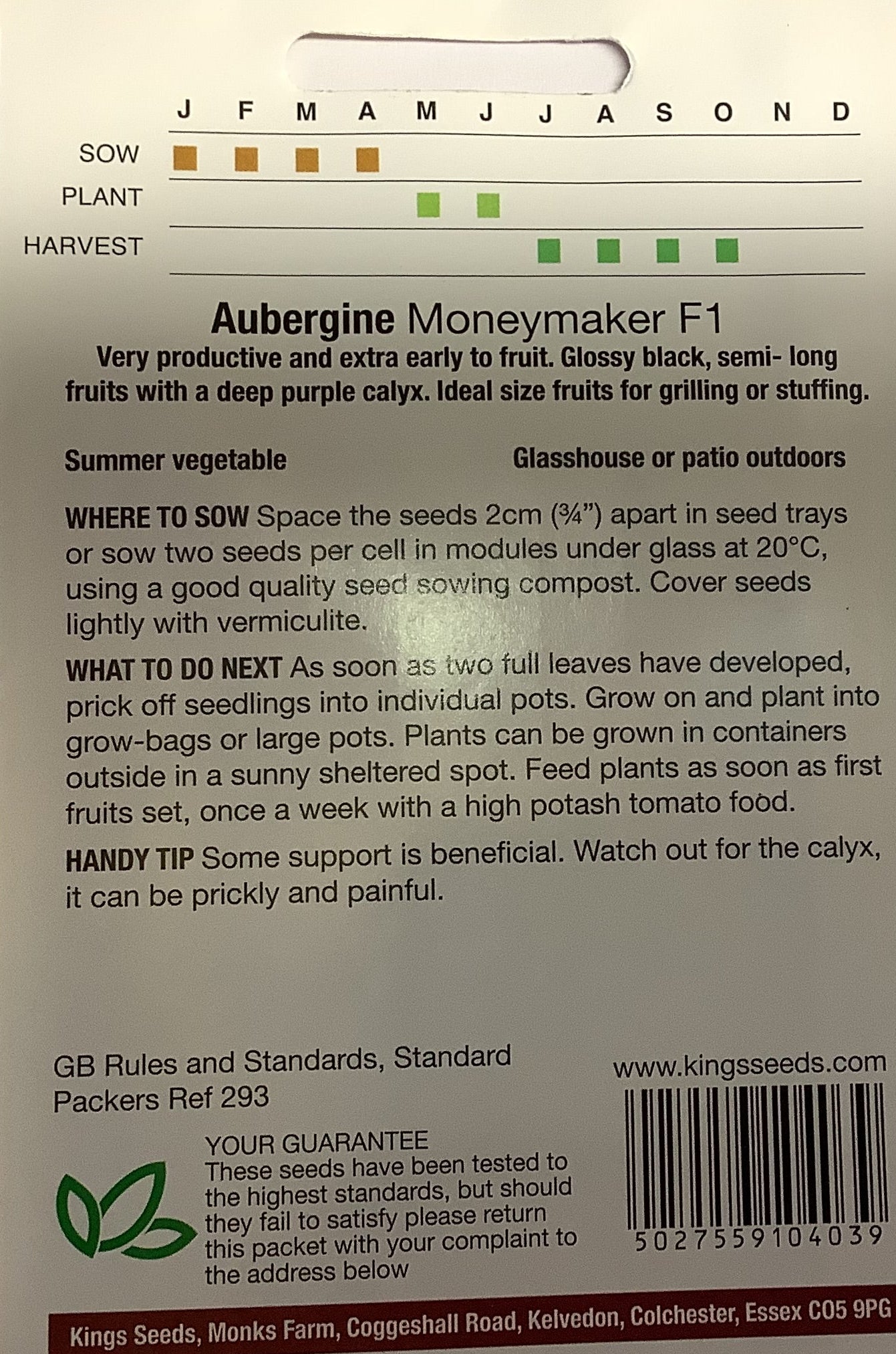 Kings Seeds Aubergine Moneymaker F1