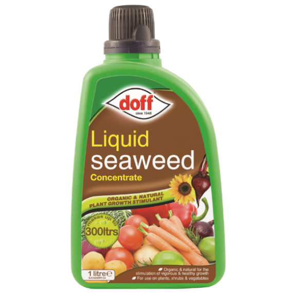 Doff Liquid Seaweed Concentrate 1ltrs