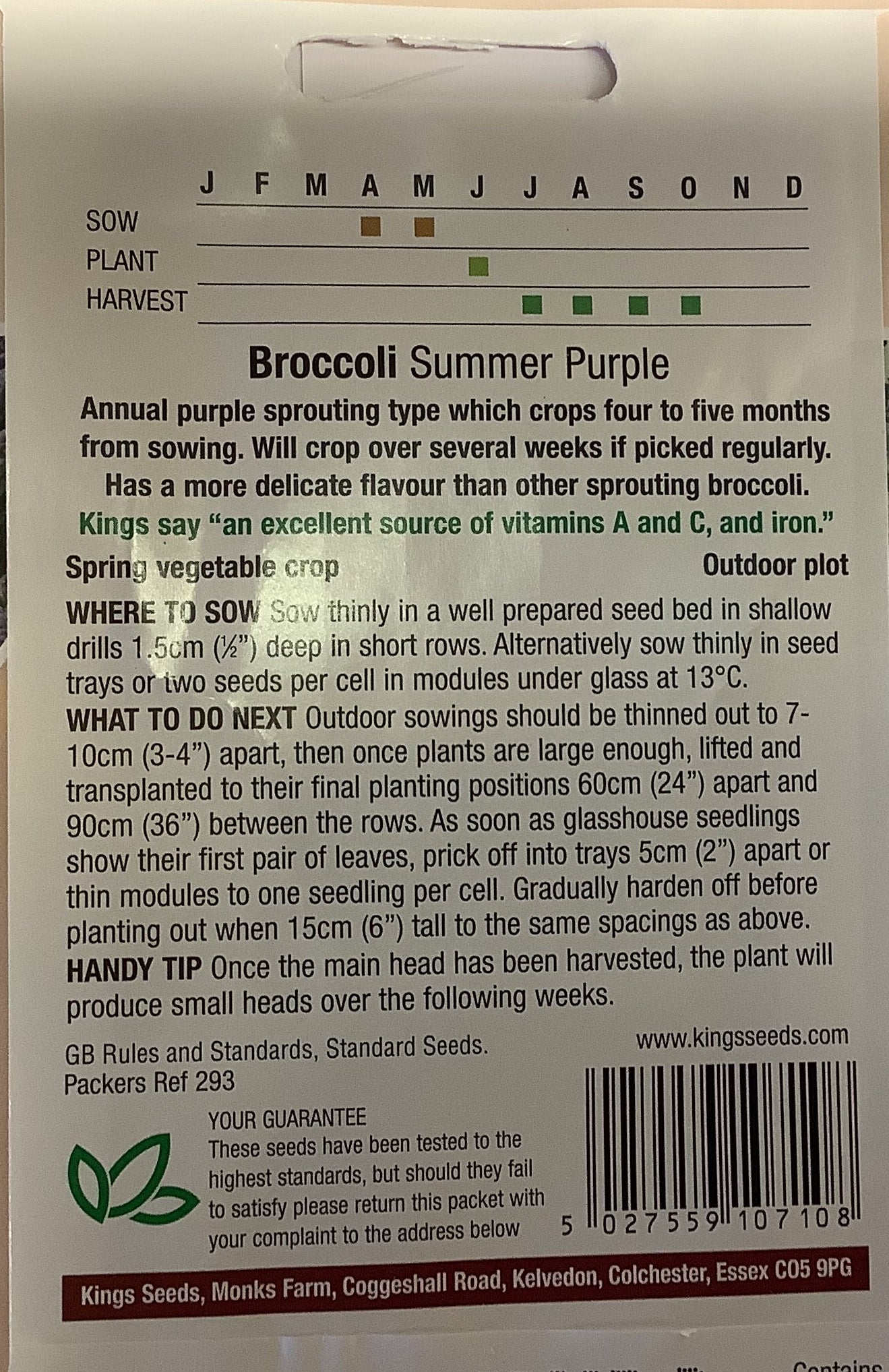 Kings Seeds Broccoli Summer Purple