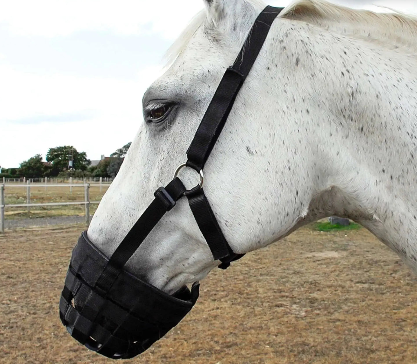 Rhinegold, Grazing Muzzle