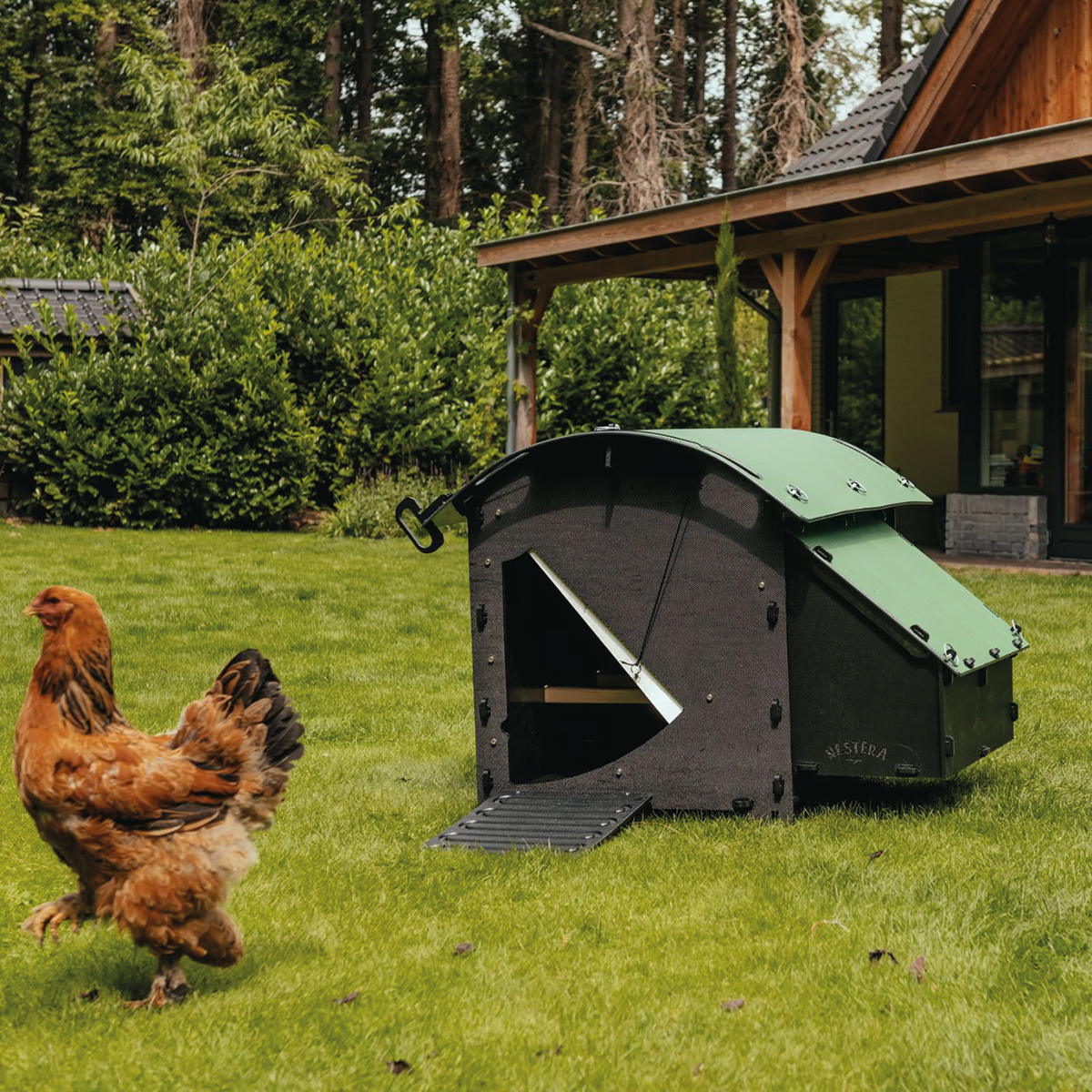 Ground Coop