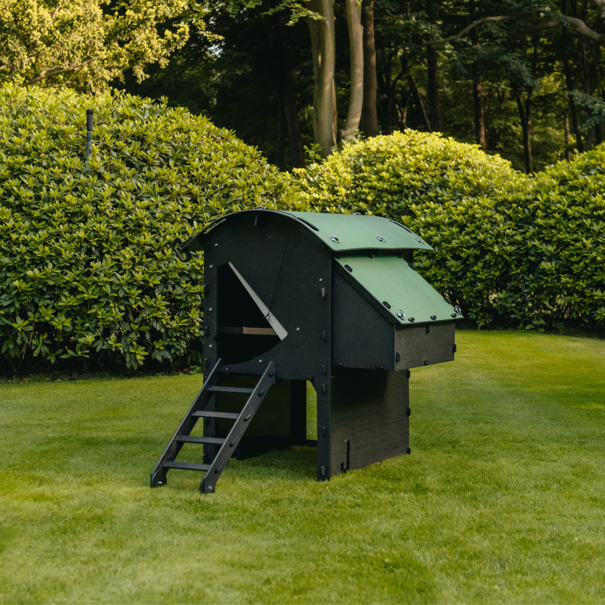 The Raised Coop