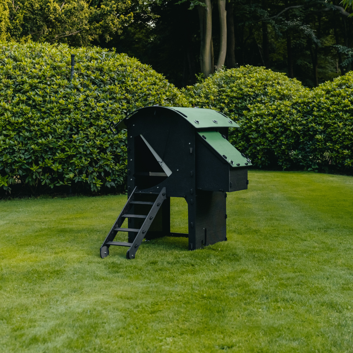 The Raised Coop