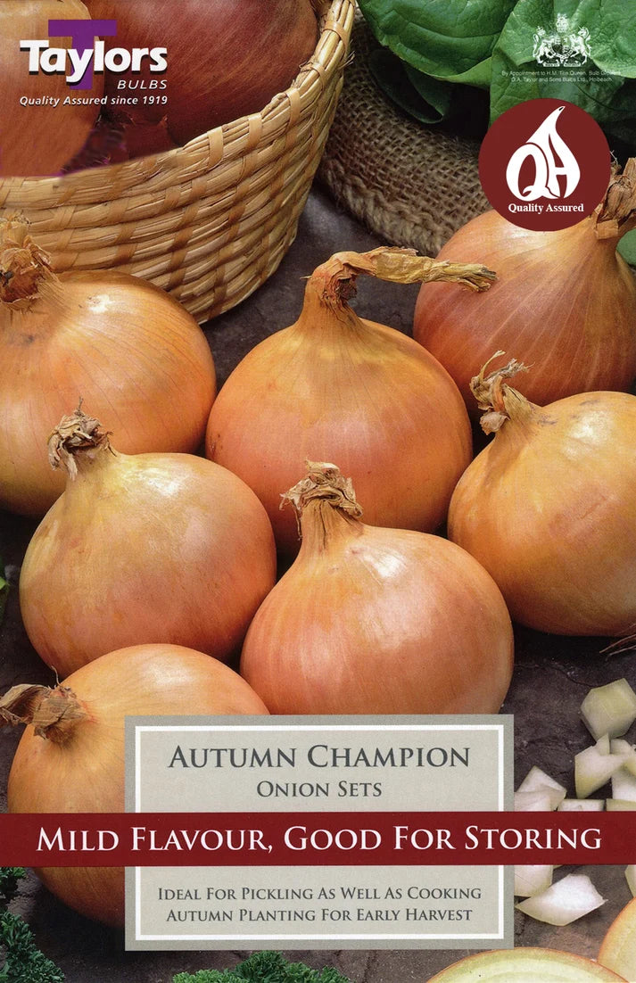 Taylors 50 Autumn Champion Onion Set