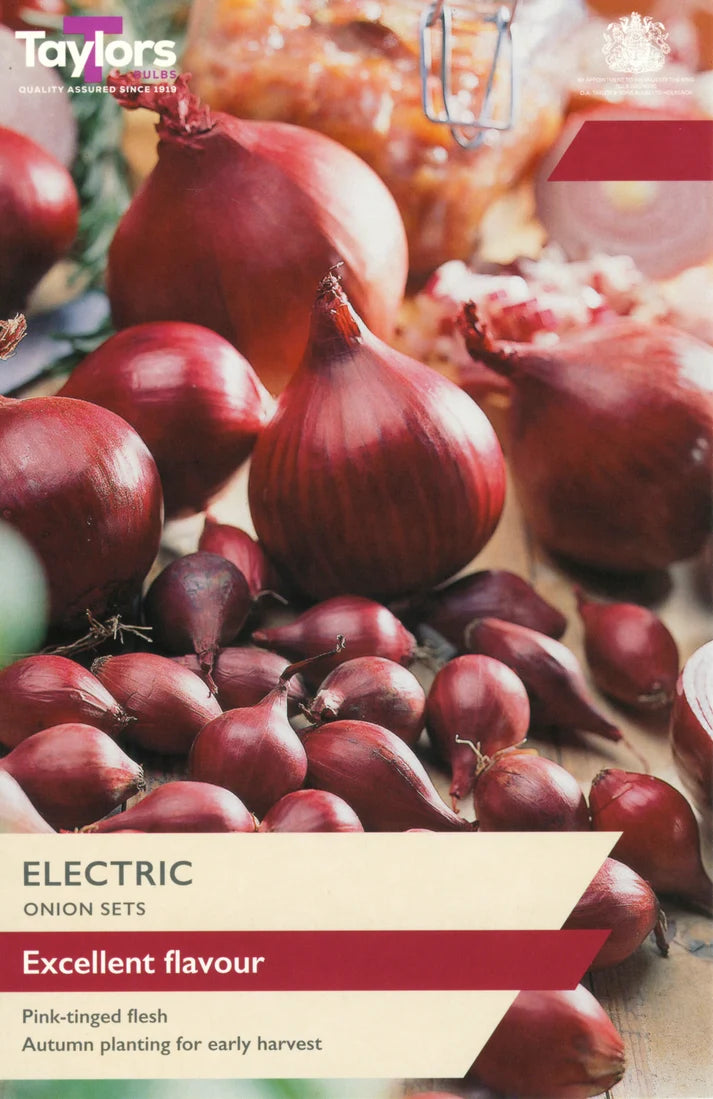 Taylors 50 Electric Onion Set