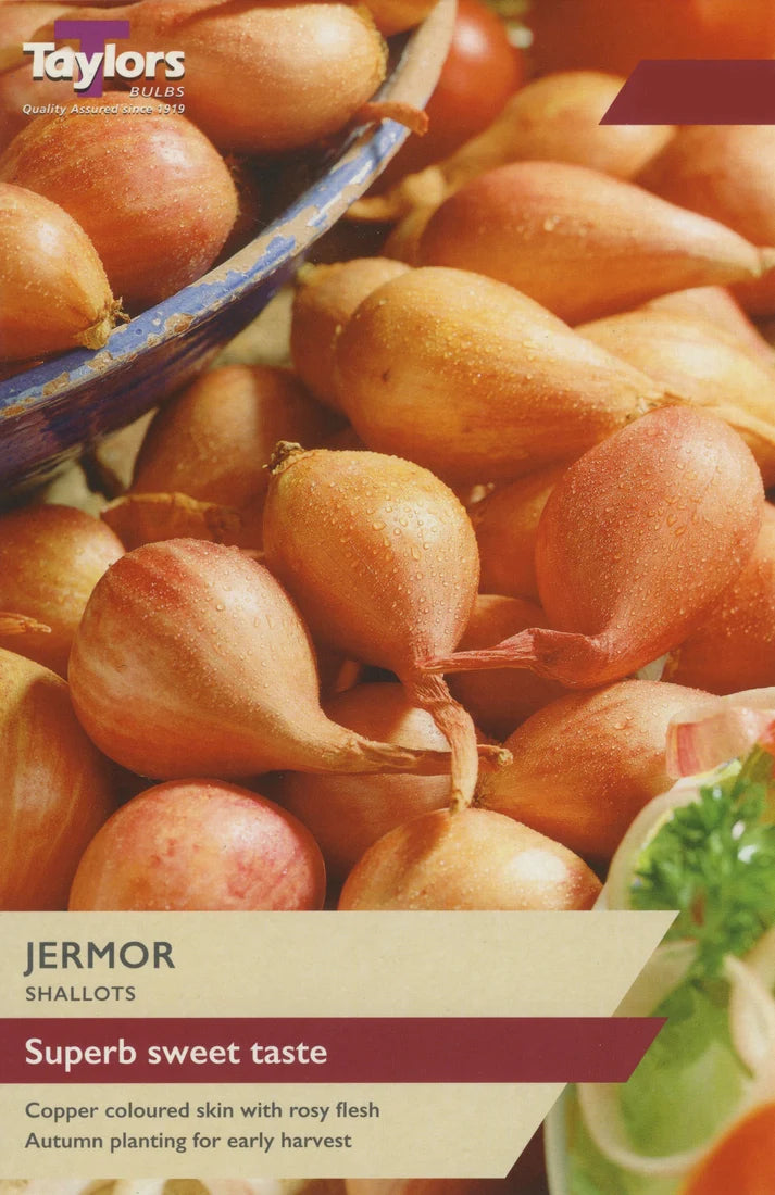 Taylors 50 Jermor Shallot Sets