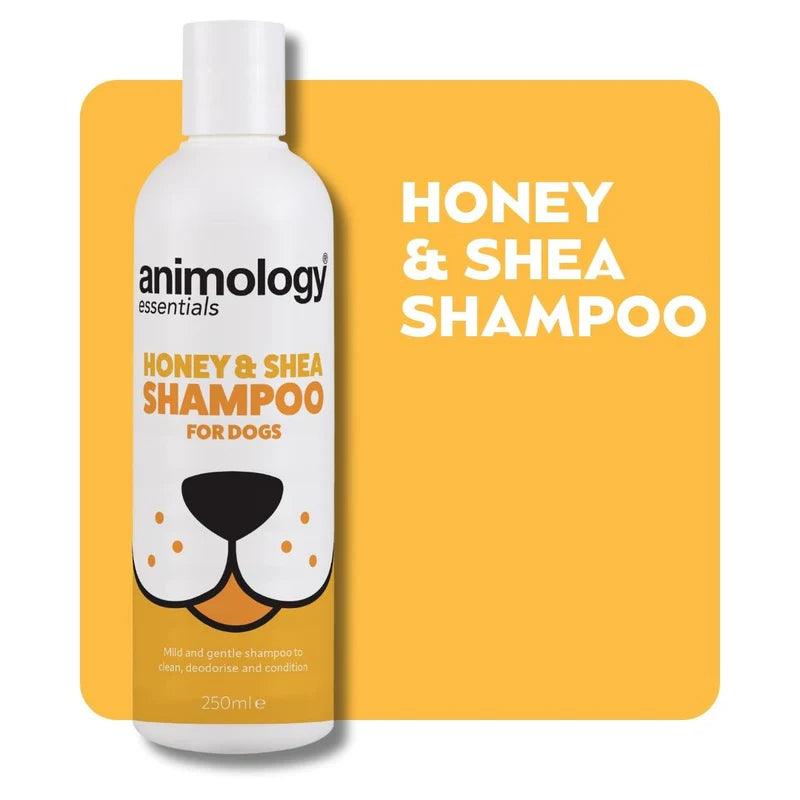 Animology Honey & Shea Shampoo For Dogs 250ml