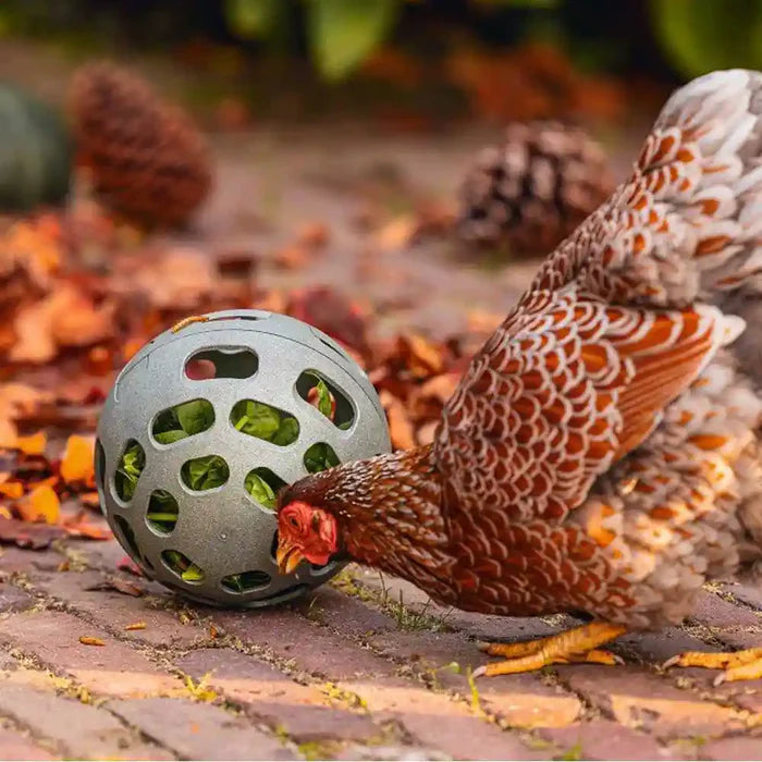 Beeztees Chicken Snack Ball 100% Recycled