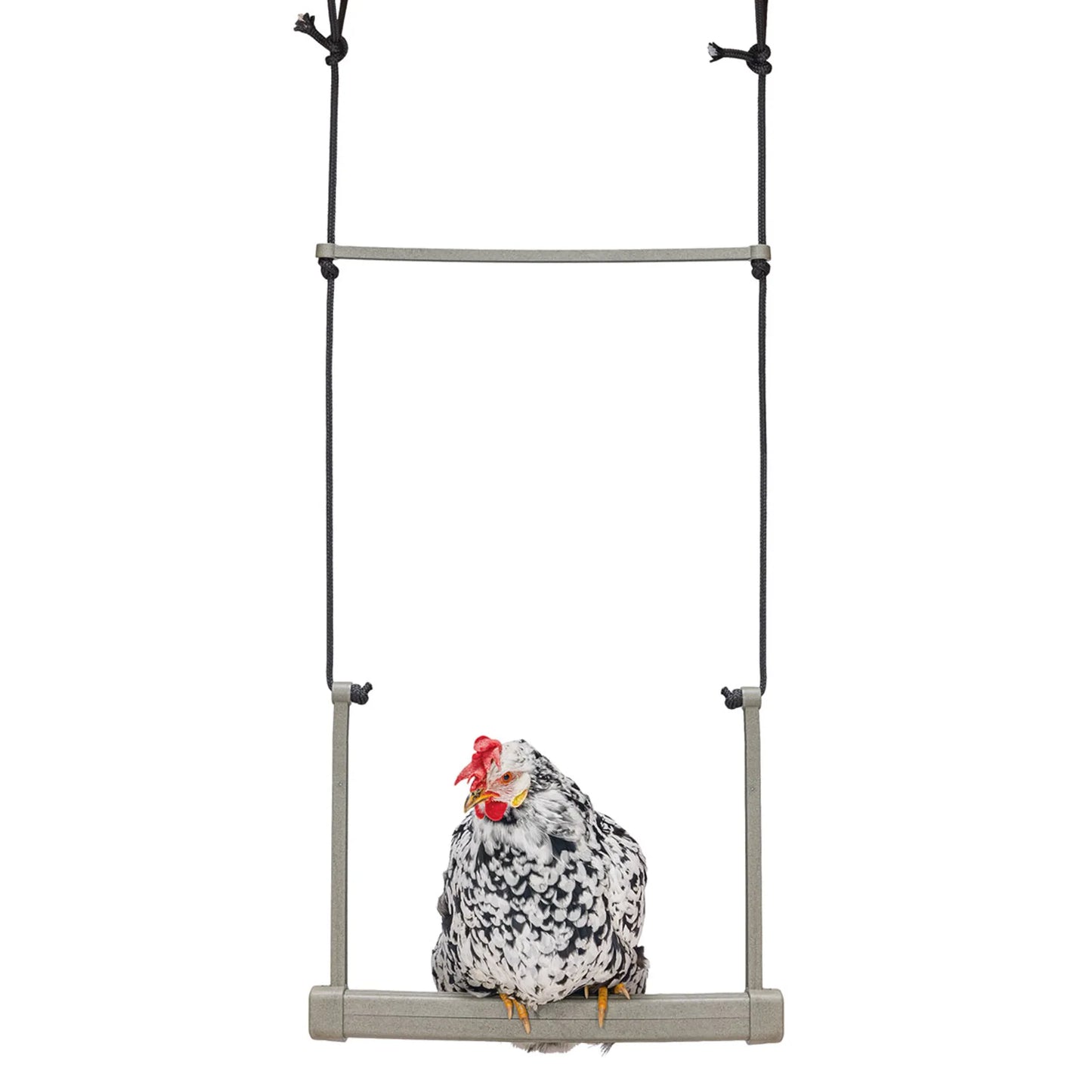 Beeztees Chicken Swing 100% Recycled