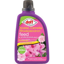 Doff Azalea, Camellia & Rhododendron Feed 1L