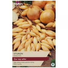 Taylors Bulbs 50 Sturon Onion Set