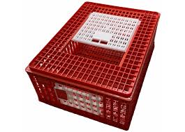 Poultry Crate Red & White