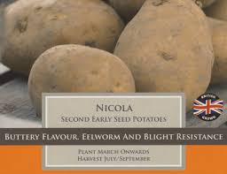 Taylors Second Early Seed Potatoes Nicola 10 Pack