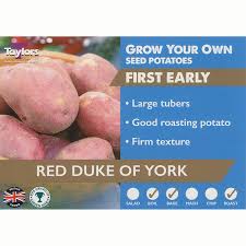 Taylors Red Duke of York First Early Seed Potatoes 2kg