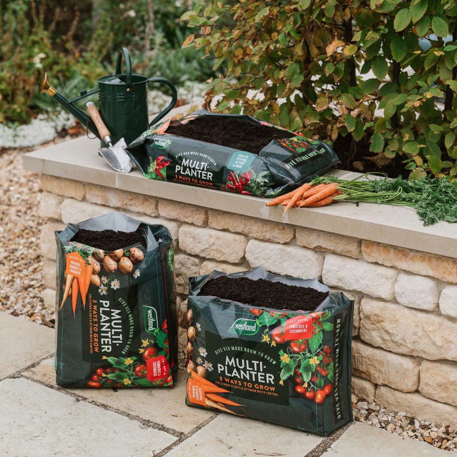 Westland Multi Planter