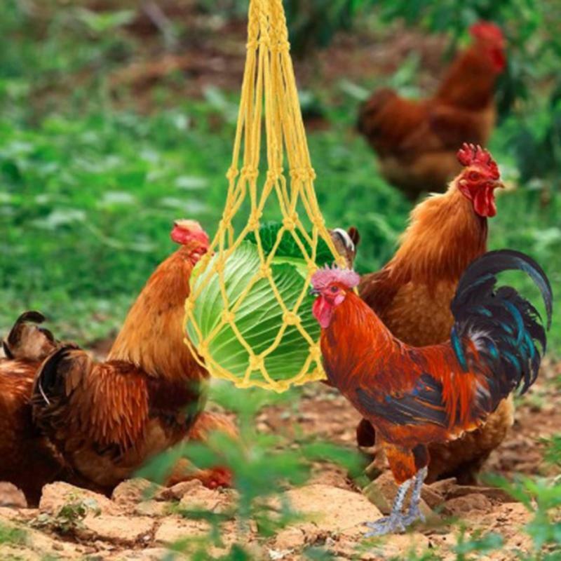Poultry Treat Net