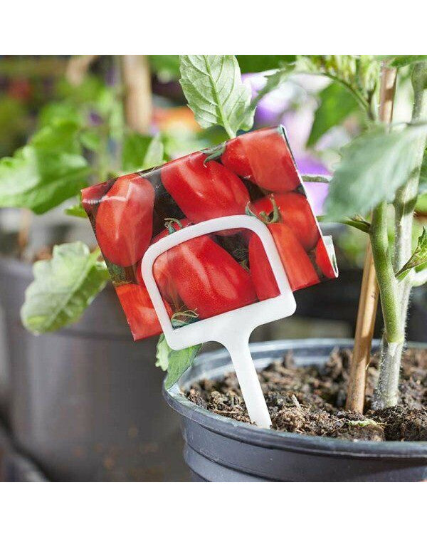 Smart Garden 'T' Labels x10