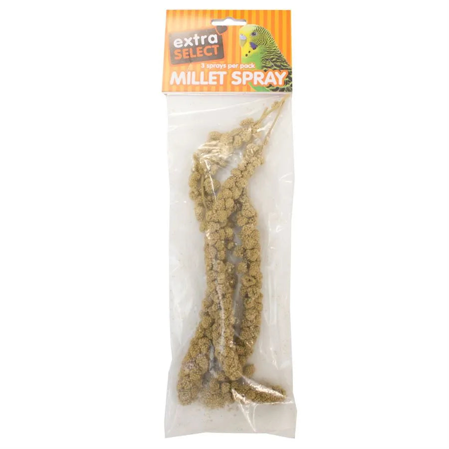 Extra Select Millet Spray x 3