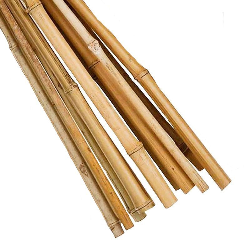 Gardening Bamboo Canes 10x4ft