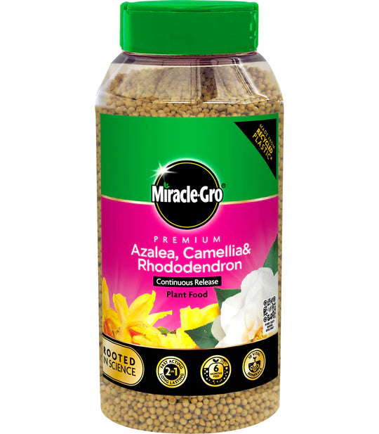 Miracle-Gro Azalea, Camellia & Rhododendron Shaker 1kg
