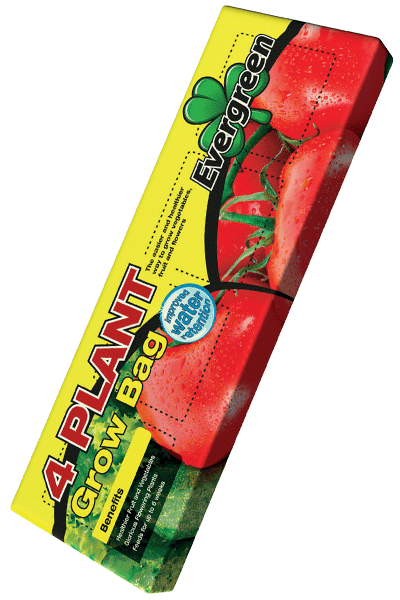 Evergreen 4 Plant Growbag 36L