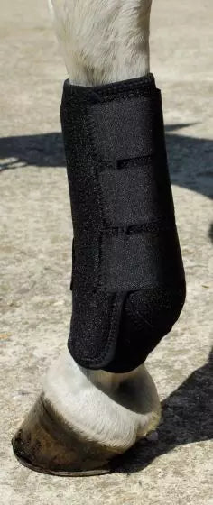 Rhinegold, Sports Medicine Boots-Full