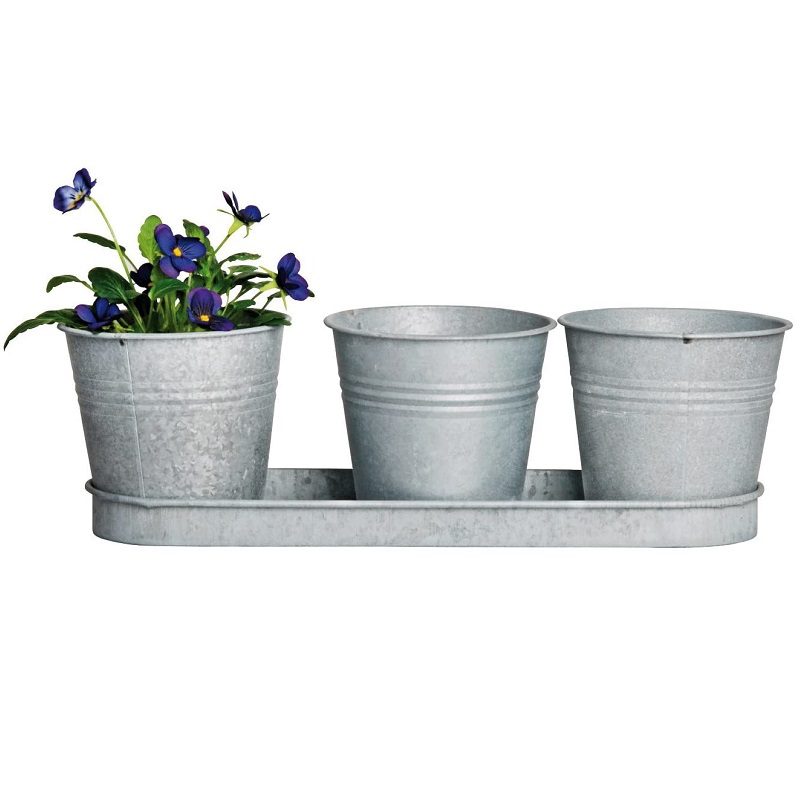Smart Garden, Windowsill Herb Pots x3