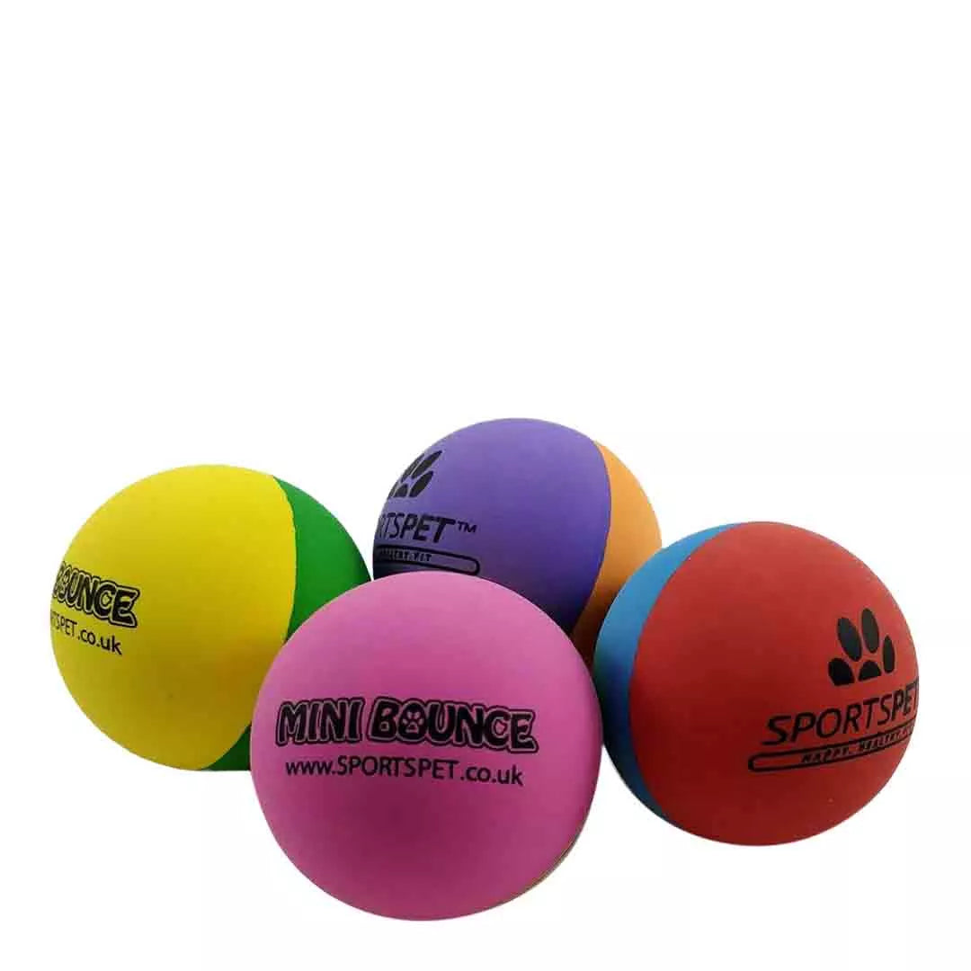SportsPet Single Mini Bounce Ball 45mm