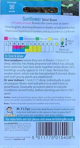 Sunflower Velvet Queen Seeds, Mr Fothergills