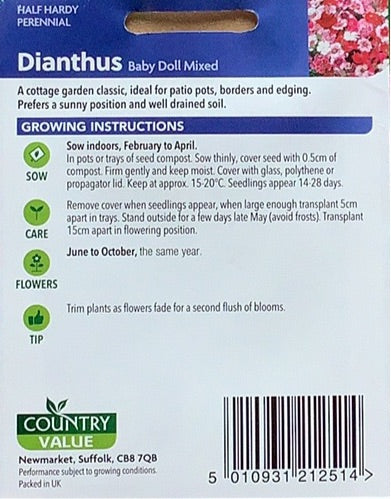 Dianthus Seeds, Country Value