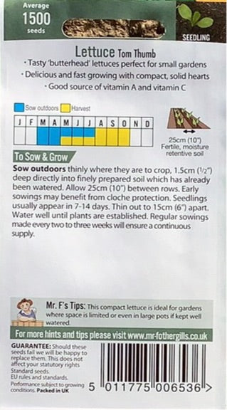 Lettuce Tom Thumb Mr. Fothergills