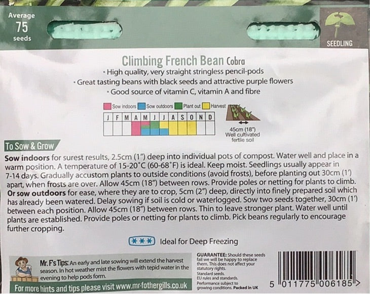 Climbing French Bean Cobra Mr.Fothergills