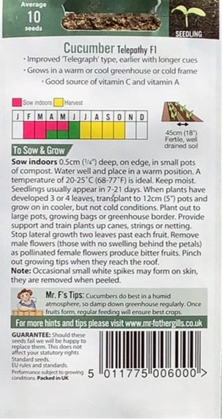 Cucumber Telepathy F1 Mr.Fothergills