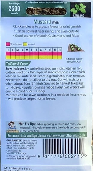 Mustard White Mr. Fothergills