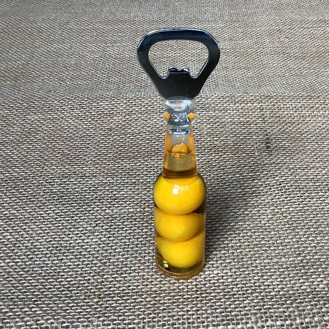 Fruit Incased Bottle Opener Fridge Magnet