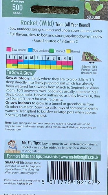 Rocket Tricia, All Year Round, Mr. Fothergills