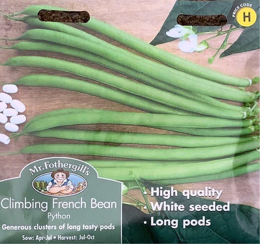 Climbing French Bean Python Mr.Fothergills