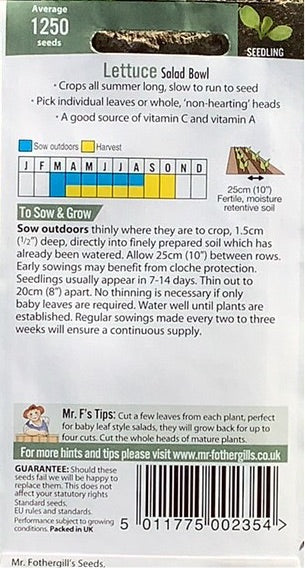Lettuce Salad Bowl Mr. Fothergills